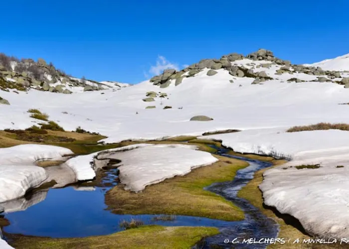 Oliveraie D'olmiccia