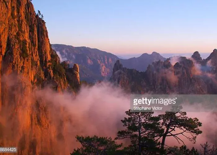 Apartmán Oliveraie D'olmiccia