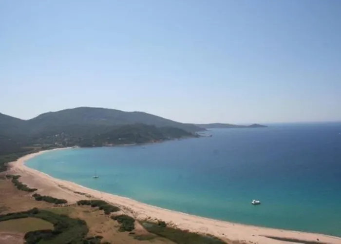 Oliveraie D'olmiccia * Olmiccia