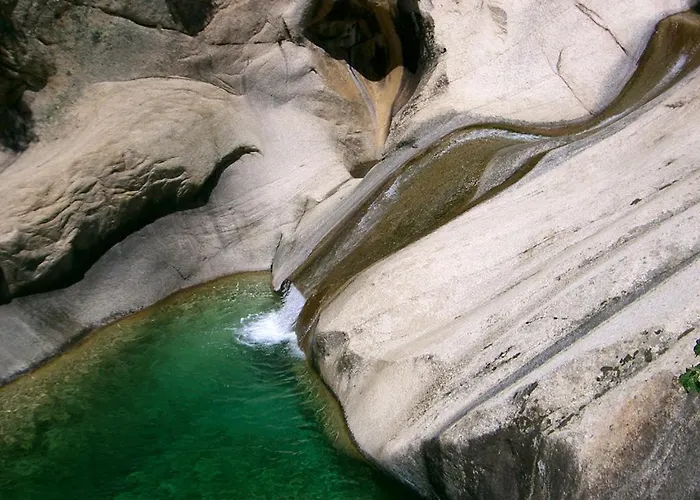 Appartement Oliveraie D'olmiccia