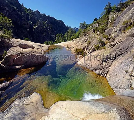 Appartement Oliveraie D'olmiccia Olmiccia