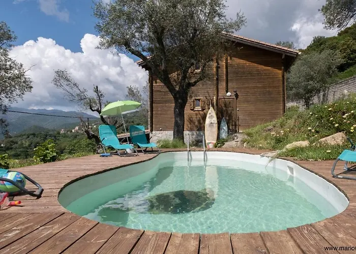 Oliveraie D'olmiccia Olmiccia