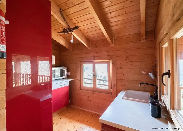 Oliveraie D'olmiccia Appartement Olmiccia