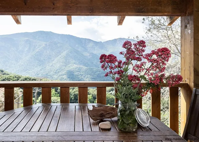 Apartmán Oliveraie D'olmiccia *