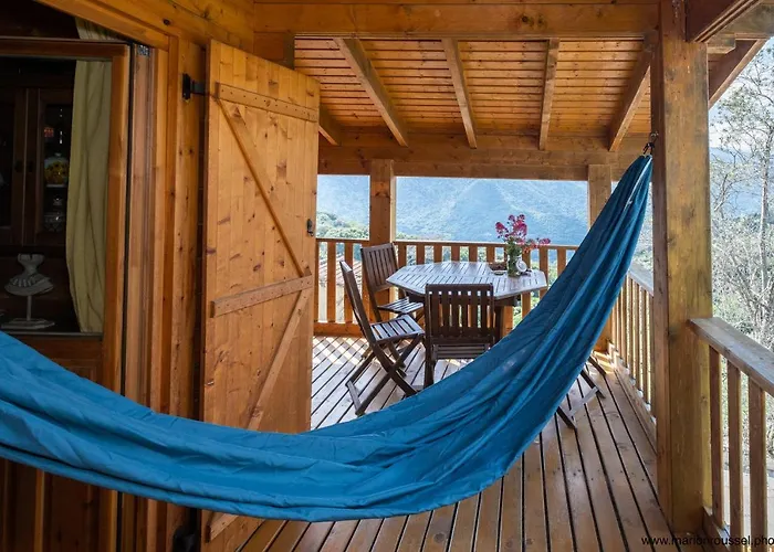 Oliveraie D'olmiccia * Olmiccia