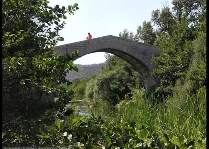 Oliveraie D'olmiccia Appartement Olmiccia