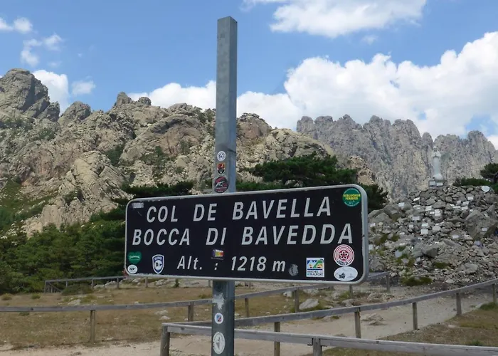 Oliveraie D'olmiccia * Olmiccia