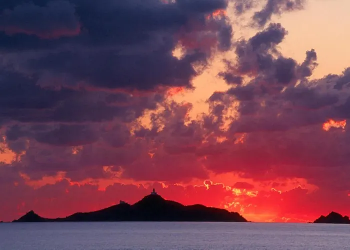 Oliveraie D'olmiccia Olmiccia