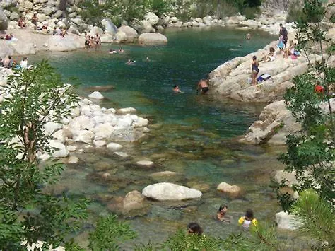 Oliveraie D'olmiccia *