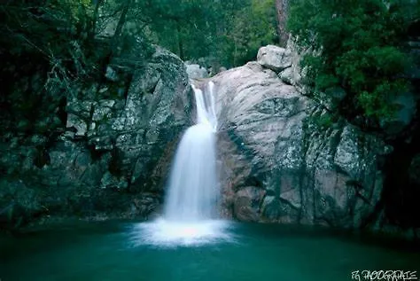 Appartement Oliveraie D'olmiccia Olmiccia