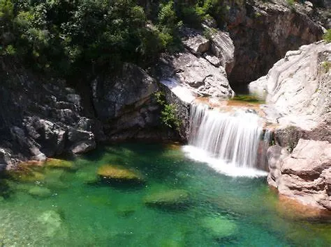 Oliveraie D'olmiccia *